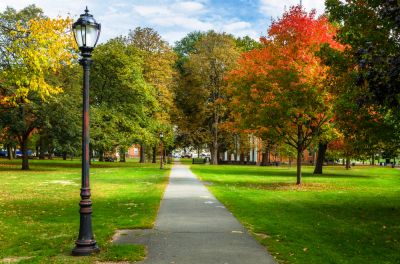 Repair Lamp Posts in Parks
